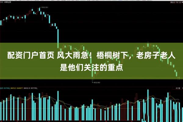 配资门户首页 风大雨急！梧桐树下，老房子老人是他们关注的重点